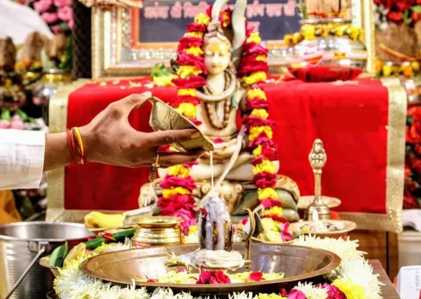 photo_2023-04-15_15-41-49